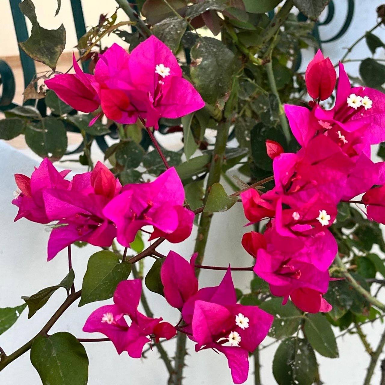 Relax Natura Agrigento Exterior foto